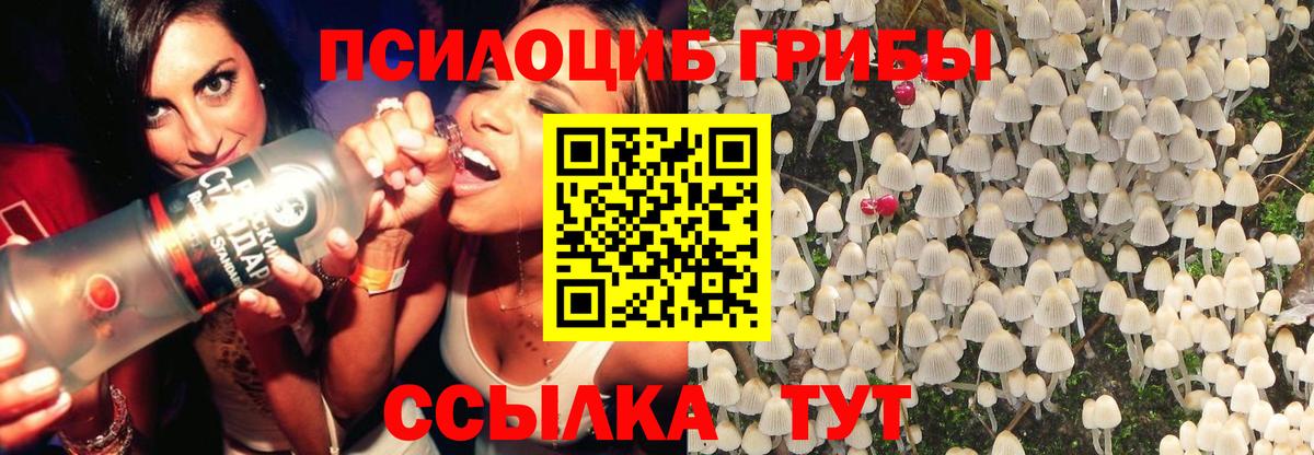 Псилоцибиновые грибы Magic Shrooms Тимашёвск