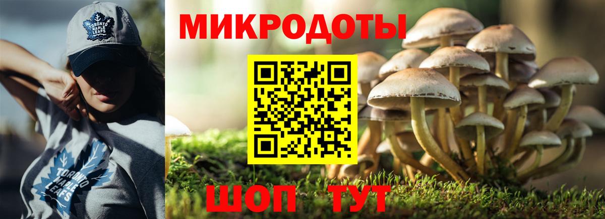 Тимашёвск  Галлюциногенные грибы ЛСД  Галлюциногенные грибы Cubensis  Вход с VPN 