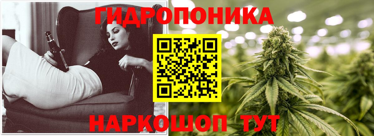 Бошки Шишки план Тимашёвск